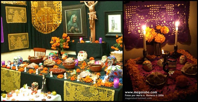 Day of the Dead - Offerings