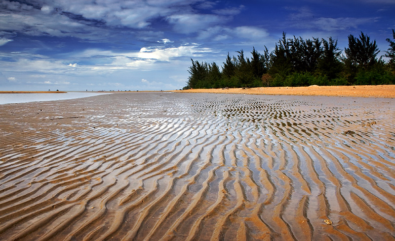 Low Tide IV