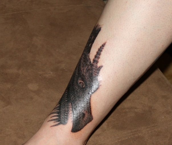 My dragon tattoo pt 1