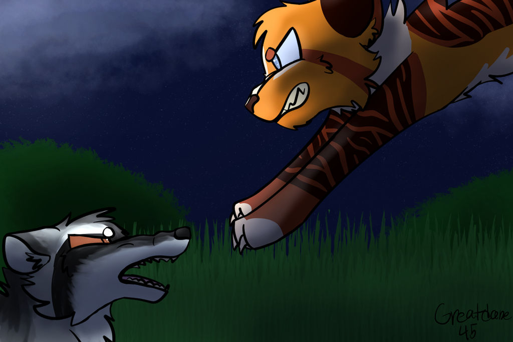 Fighting Rane Raccoon Fight! by Greatdane45 on DeviantArt