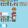 Every Power Up of Newer Super Mario Bros.