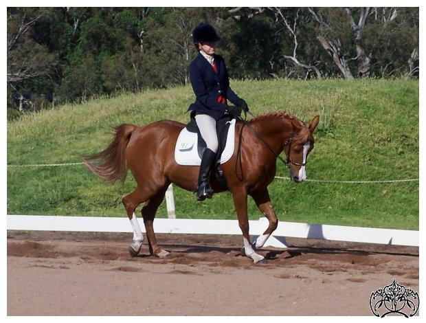 ASC07: Dressage II