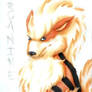 Arcanine