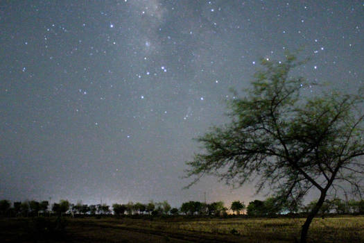 night and the fields