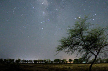 night and the fields