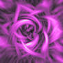 Purple abstract flower