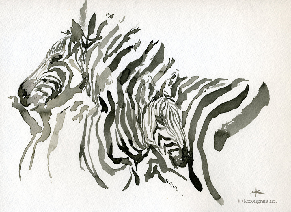 Zebra