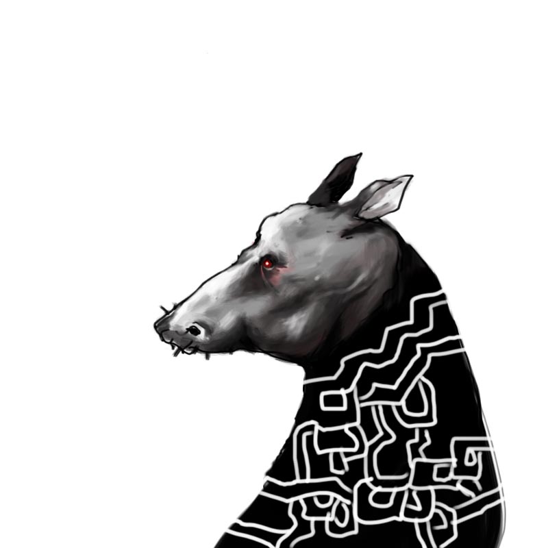 horse