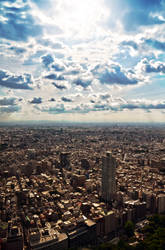 Tokyo from above