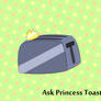 Ask Princess Toaster