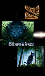 Bluestar collage