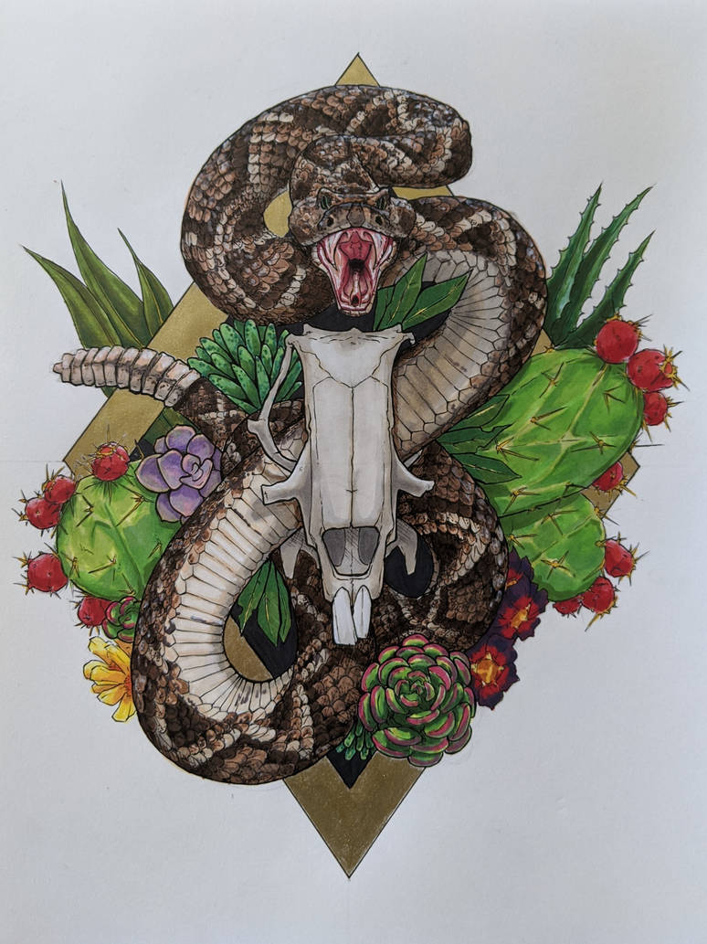 Rabbit Rattlesnake Rattlesnake in a Rabbit Skull by KettDoesArt on DeviantArt