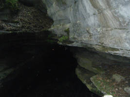 Mammoth Cave Photo 3