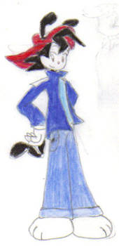 Wakko as a Teenager