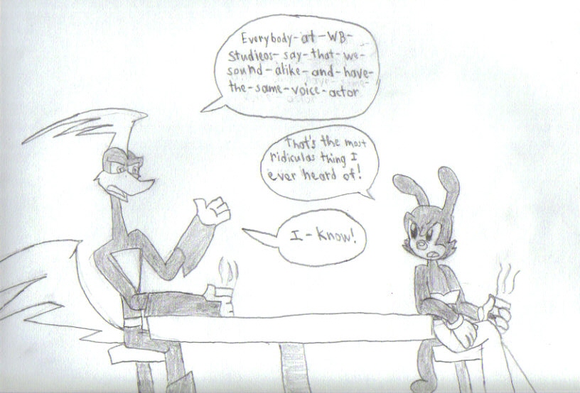 Rev and Yakko Meeting