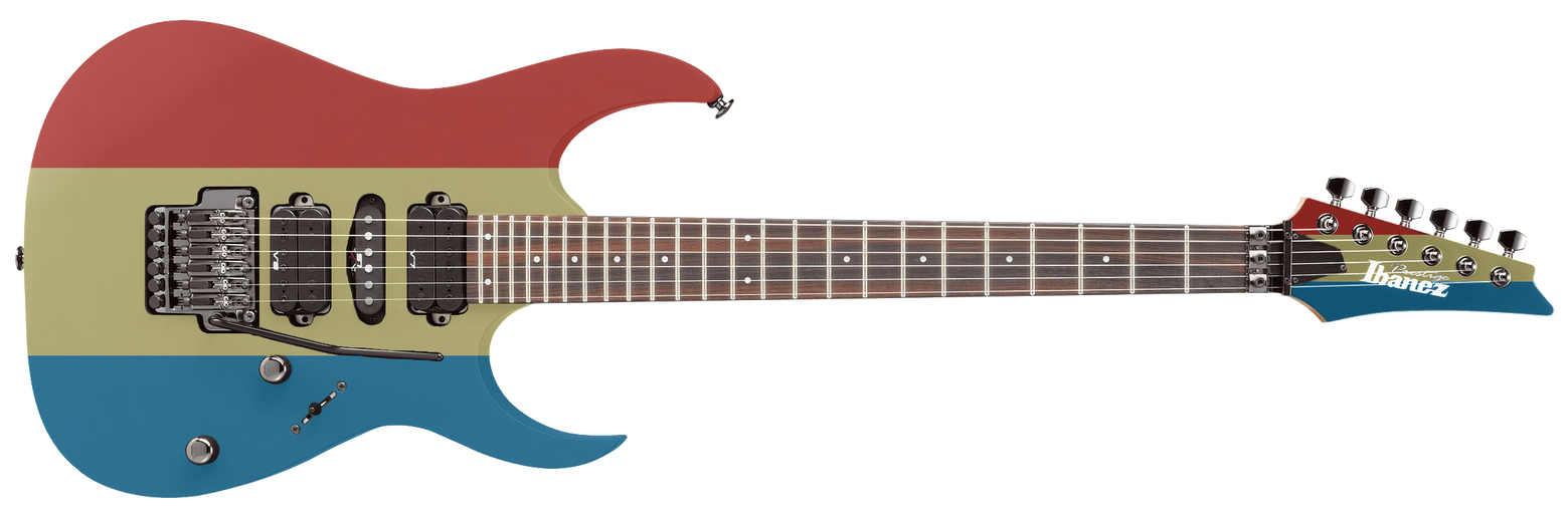 RD's Guitar