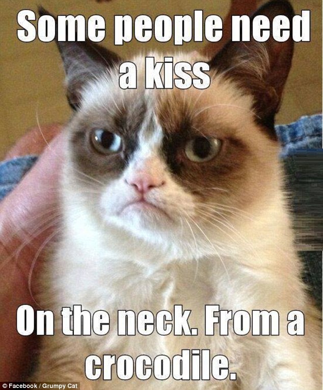 Grumpy Kitty's idea of a kiss