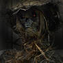 Scarecrow haunted