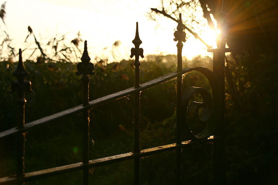 fence.