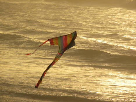 Pacific Ocean, Kite