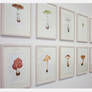 Deadly Fungi (exhibition)