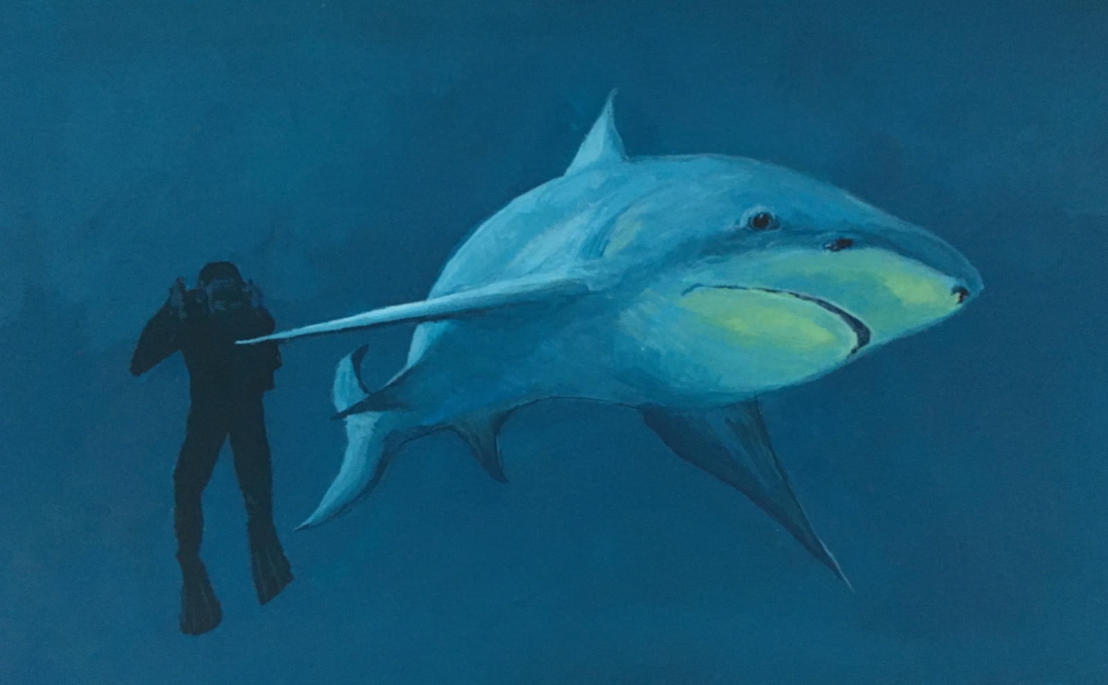 Shark Cover
