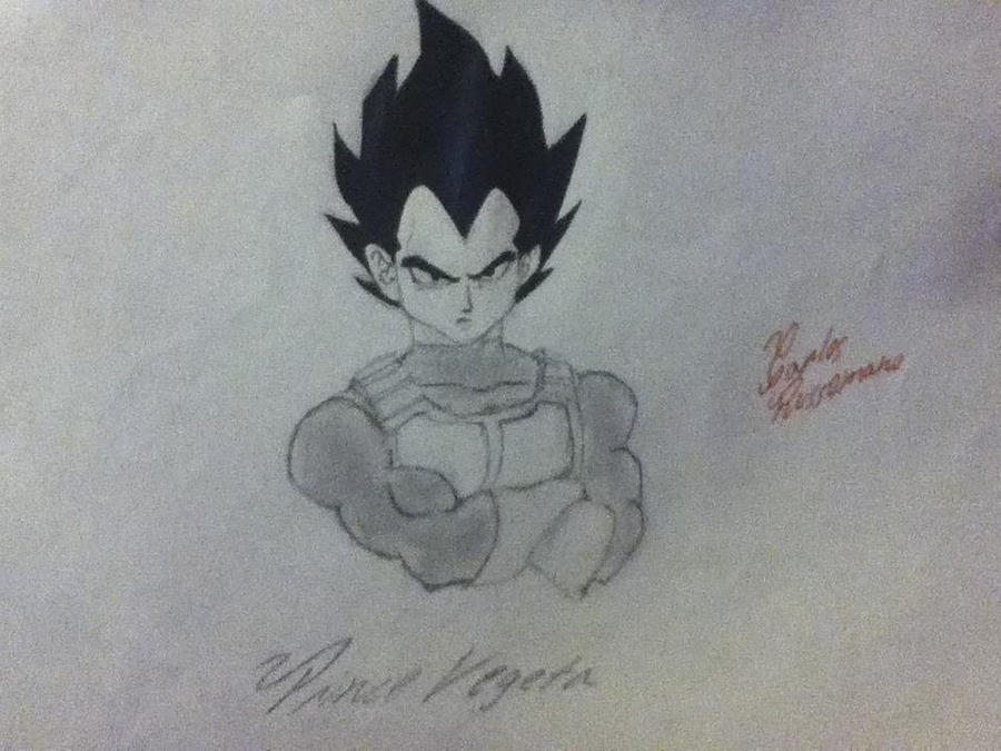 Prince Vegeta