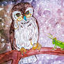 Flocking owls contest Owls in literature