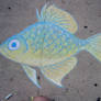 Chalk Fish 2007