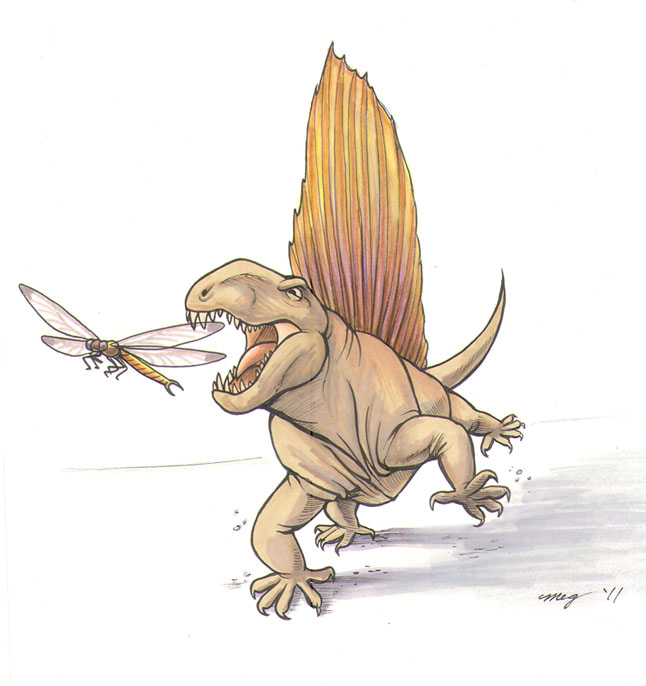 Dimetrodon