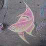 Pink Chalk Fish