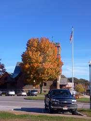 tree and church