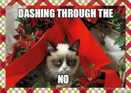 A Grumpy Cat Christmas