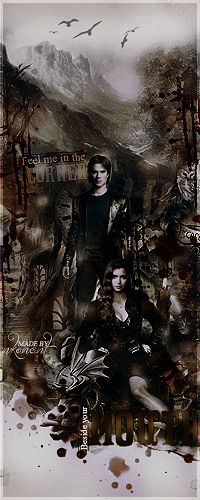 images Delena Fan Art corner delena fan art by nkonant on