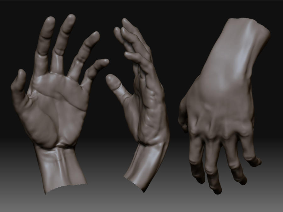 Edited Hand hand revision one by tshenton on DeviantArt