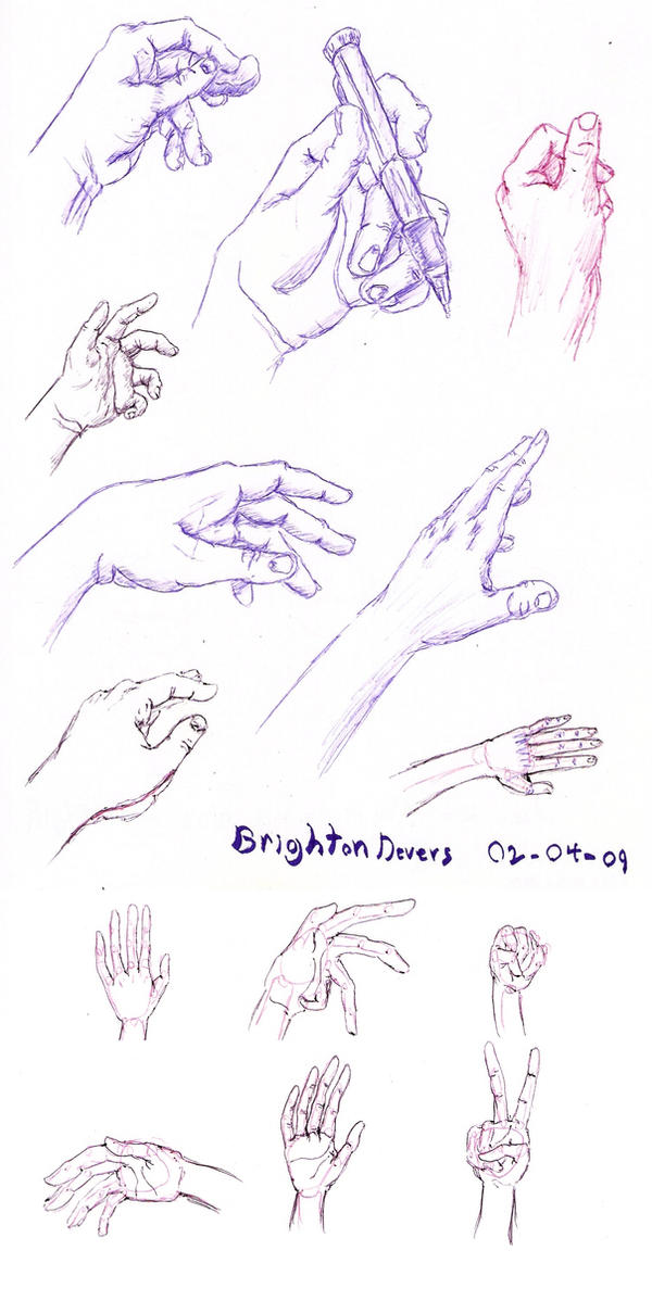 Hand Drawn Example Study of Hands by zankotsu22 on DeviantArt