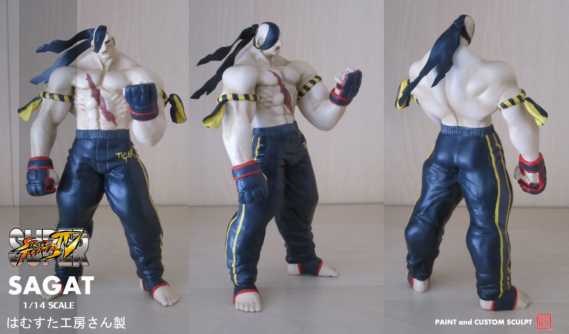 Custom Sagat