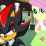 Shadow and Fluttershy Bonding