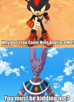 Shadow VS Beerus