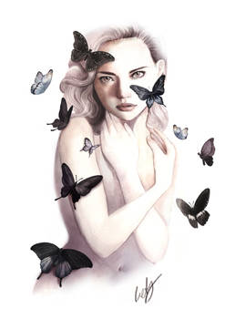 Blackbutterflies