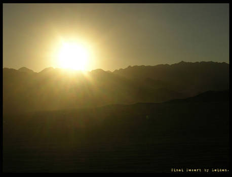 Sinai Sunset