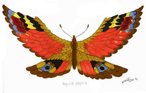 Aqila Papilio