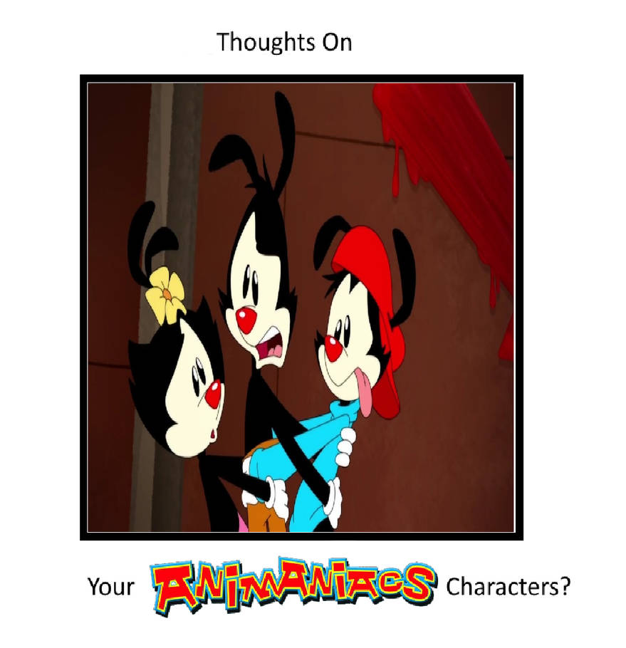 Thoughts On The Warner Siblings by MorganTheFandomGirl on DeviantArt