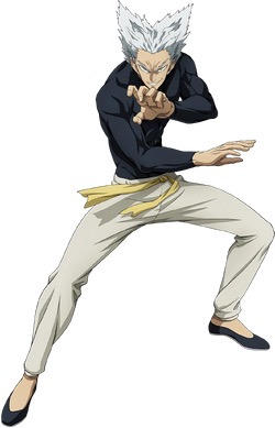Garou Ragdoll Garou by sailorsolimarEarthwo on DeviantArt