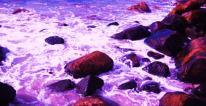 The Purple Sea