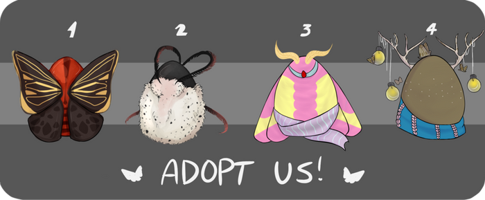 Open  Moth  Humanoid  Collab Adopts