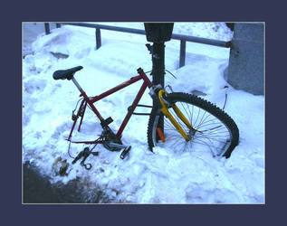 bikes in montreal 3