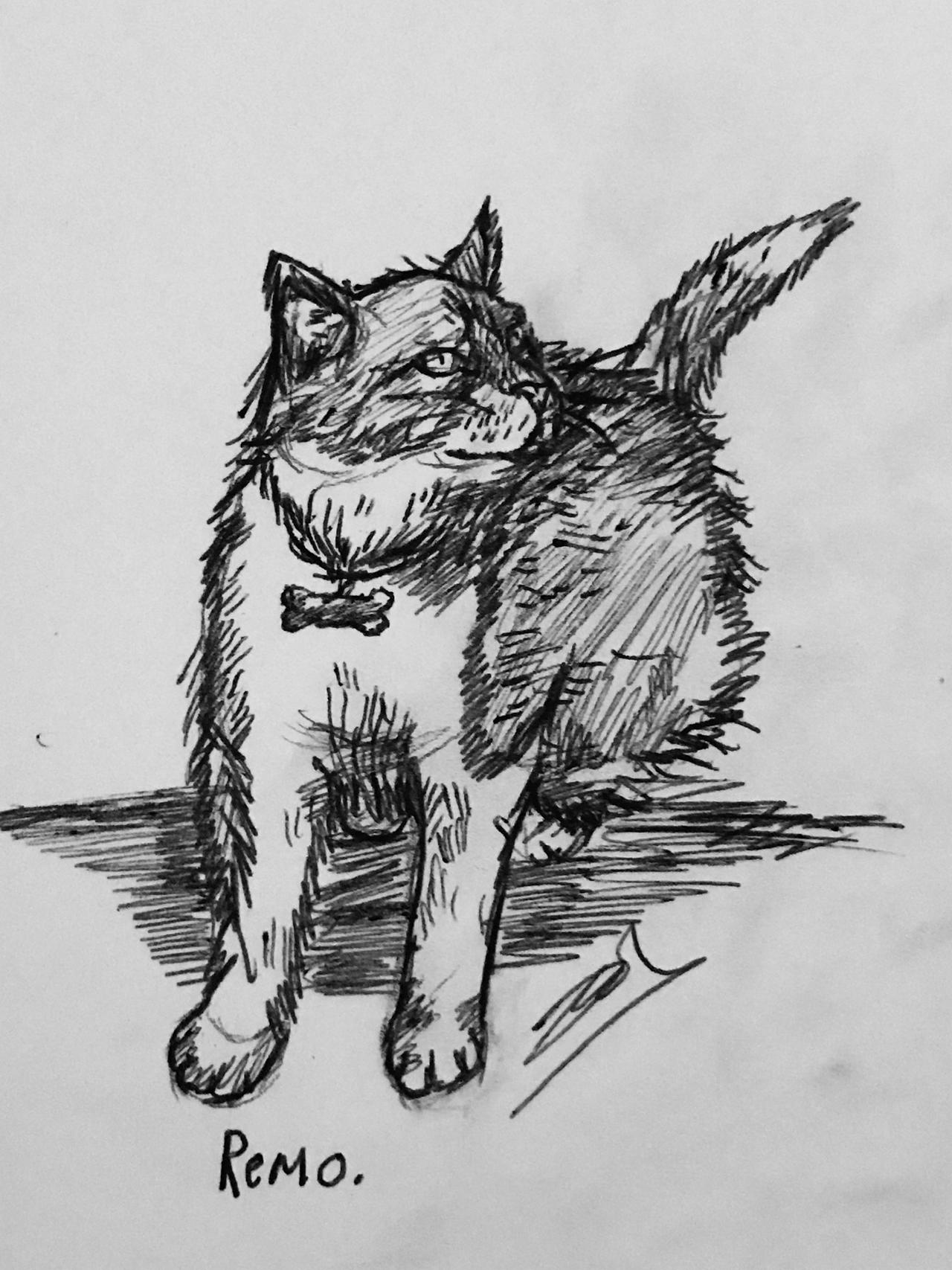 Remo by MisterTwig on DeviantArt