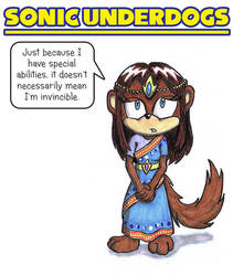 Sonic Underdogs (Meme) - Vina
