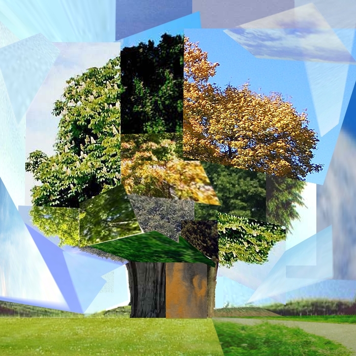 Collage: Tree